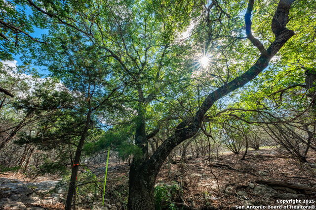 Image 20 of 45 For 0 Fair Ranch Rd