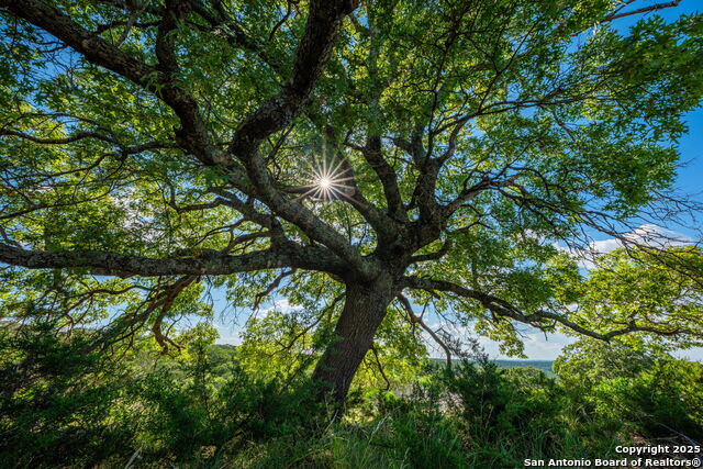 Image 33 of 45 For 0 Fair Ranch Rd