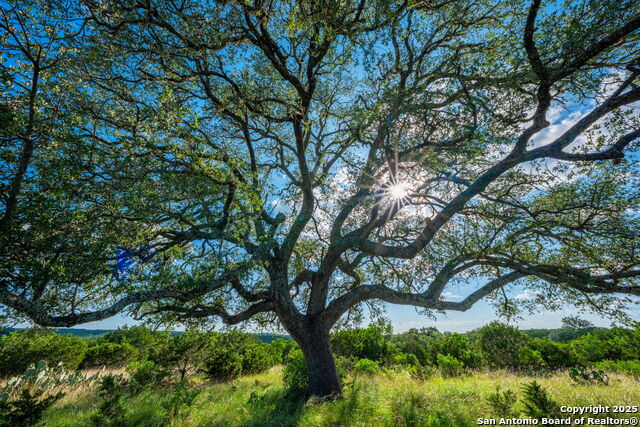 Image 40 of 45 For 0 Fair Ranch Rd