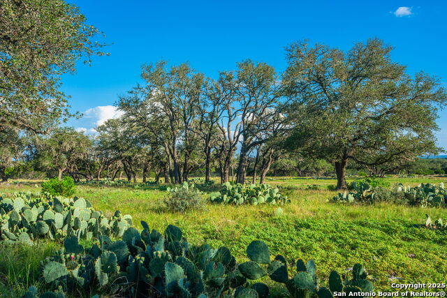 Image 42 of 45 For 0 Fair Ranch Rd