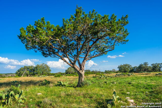 Image 44 of 45 For 0 Fair Ranch Rd