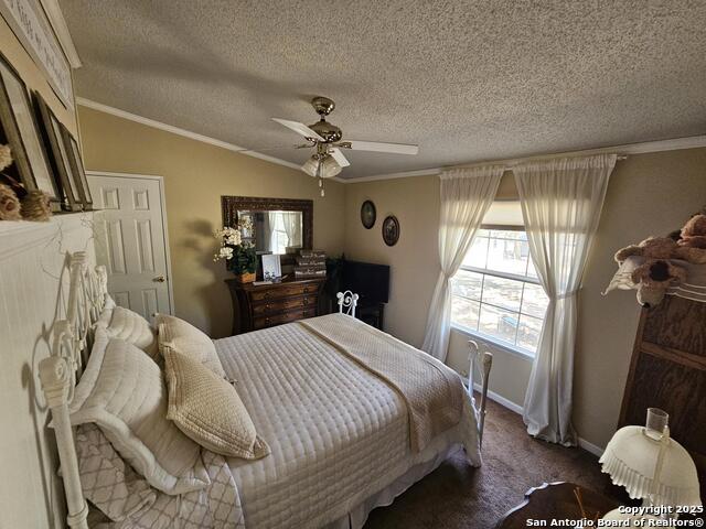 Listing photo id 31 for 530 Indian Springs