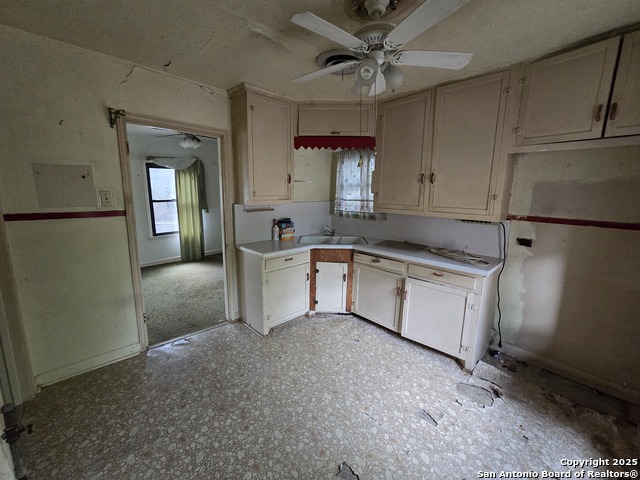 Image 9 of 22 For 1919 Steves  