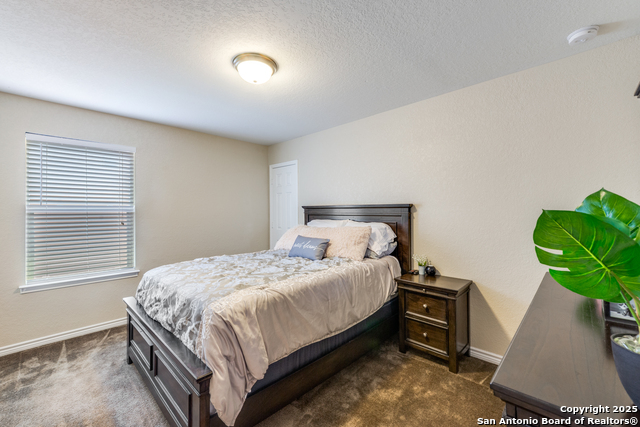 Image 17 of 28 For 148 Cactus Flower