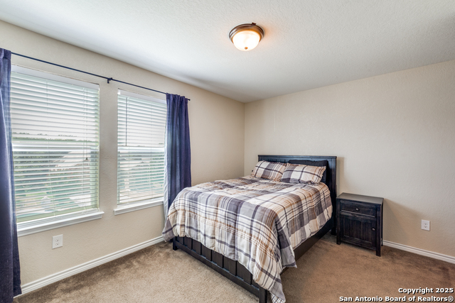 Image 19 of 28 For 148 Cactus Flower