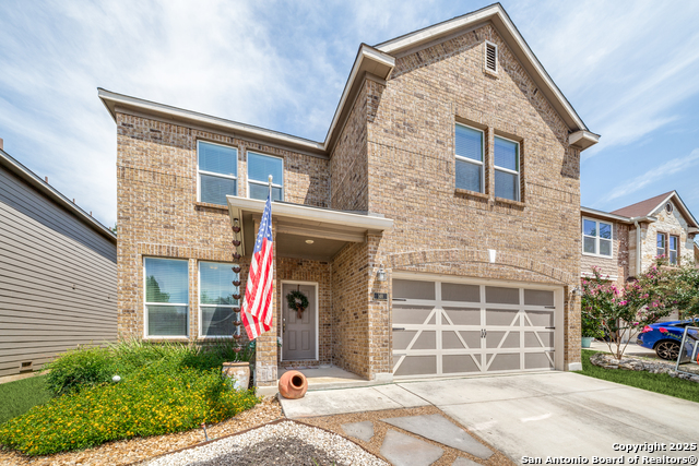 Image 2 of 28 For 148 Cactus Flower