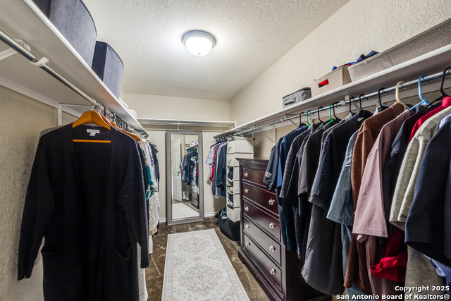 Image 24 of 28 For 148 Cactus Flower