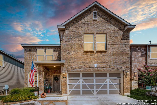 Image 28 of 28 For 148 Cactus Flower