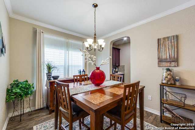 Image 8 of 28 For 148 Cactus Flower