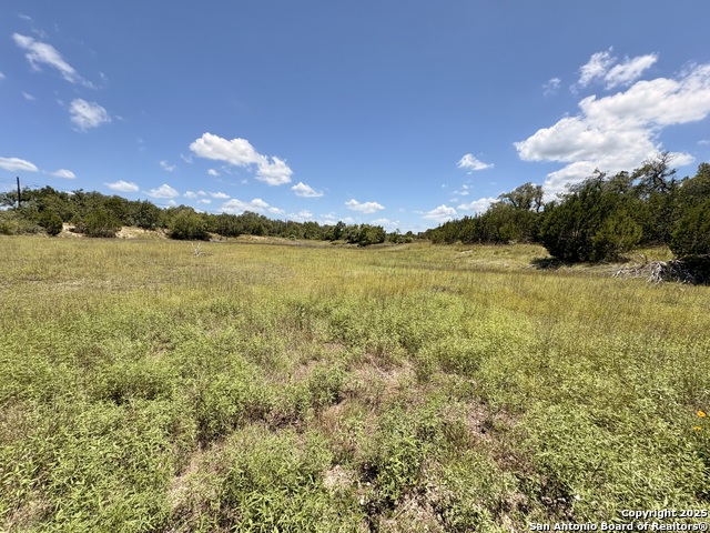 Image 3 of 35 For 184 Peyton Colony