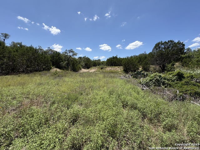 Image 5 of 35 For 184 Peyton Colony