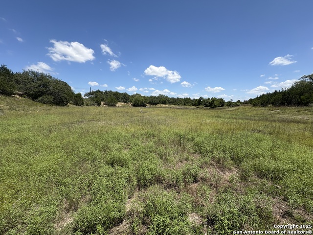 Image 6 of 35 For 184 Peyton Colony