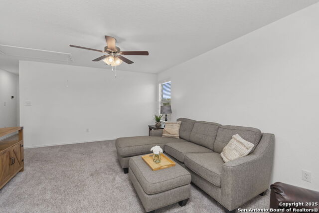 Listing photo id 19 for 223 Kinsley  