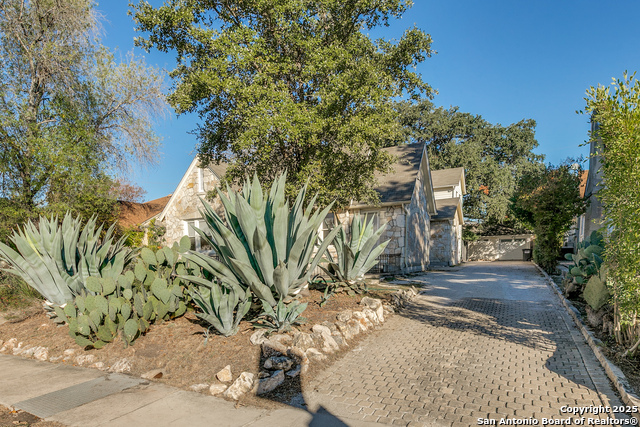 Image 3 of 29 For 365 Club