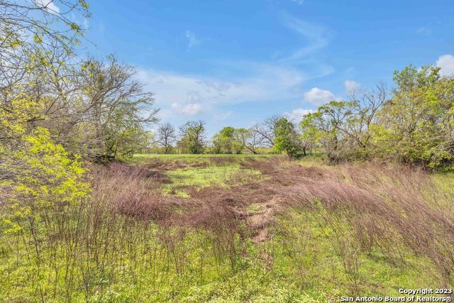 Image 10 of 42 For 16547 Gable Rd E