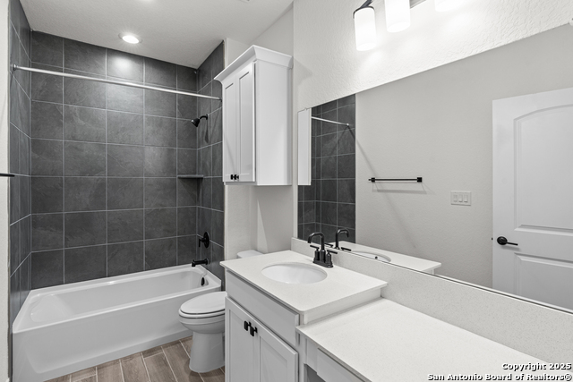 Image 10 of 27 For 4843 Conch Shell