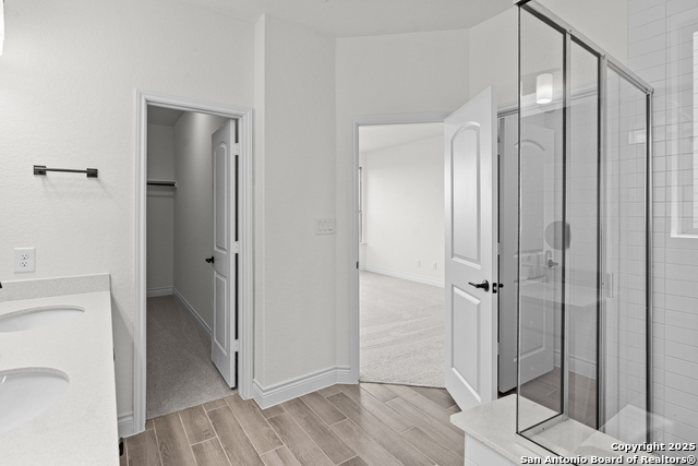 Image 12 of 27 For 4843 Conch Shell