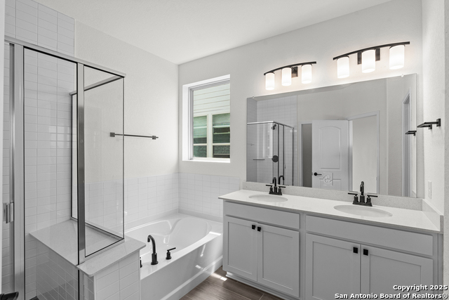 Image 13 of 27 For 4843 Conch Shell