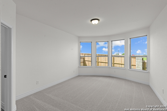 Image 15 of 27 For 4843 Conch Shell