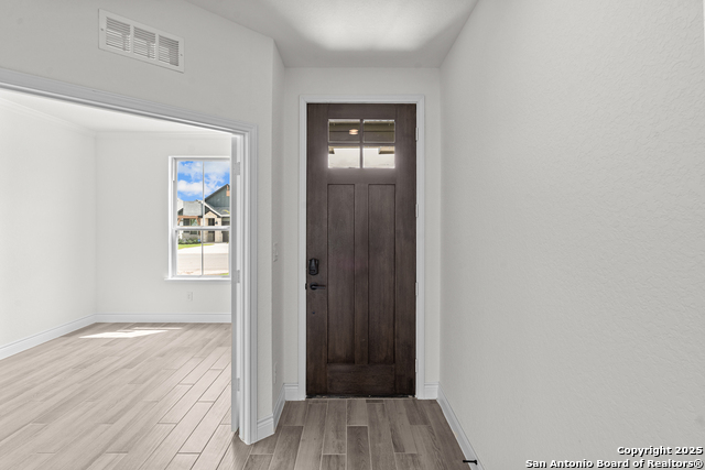 Image 2 of 27 For 4843 Conch Shell