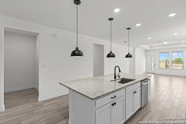 Image 22 of 27 For 4843 Conch Shell