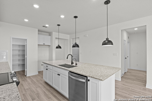 Image 23 of 27 For 4843 Conch Shell