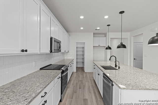 Image 24 of 27 For 4843 Conch Shell