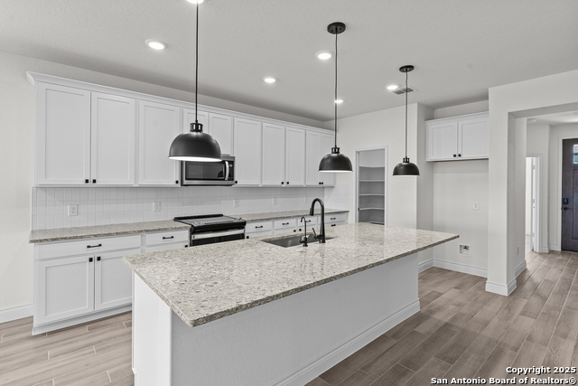 Image 25 of 27 For 4843 Conch Shell