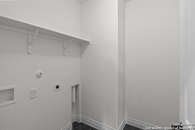 Image 27 of 27 For 4843 Conch Shell