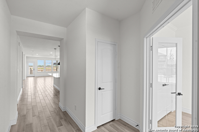 Image 3 of 27 For 4843 Conch Shell