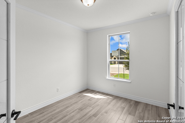 Image 4 of 27 For 4843 Conch Shell