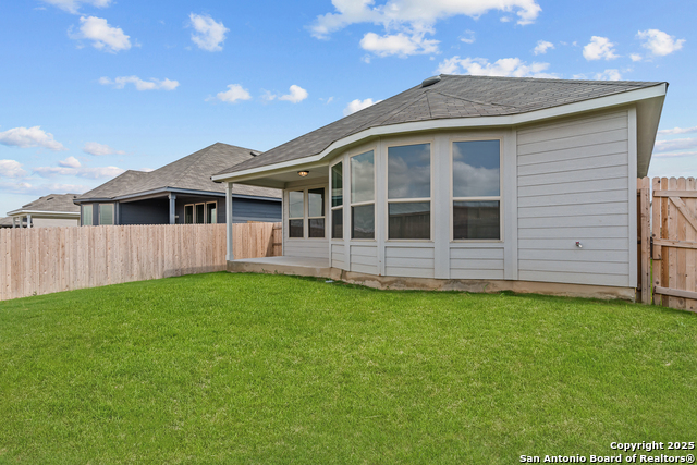 Image 5 of 27 For 4843 Conch Shell
