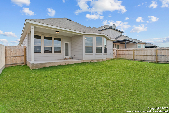 Image 6 of 27 For 4843 Conch Shell