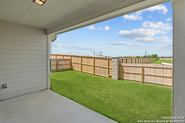 Image 7 of 27 For 4843 Conch Shell