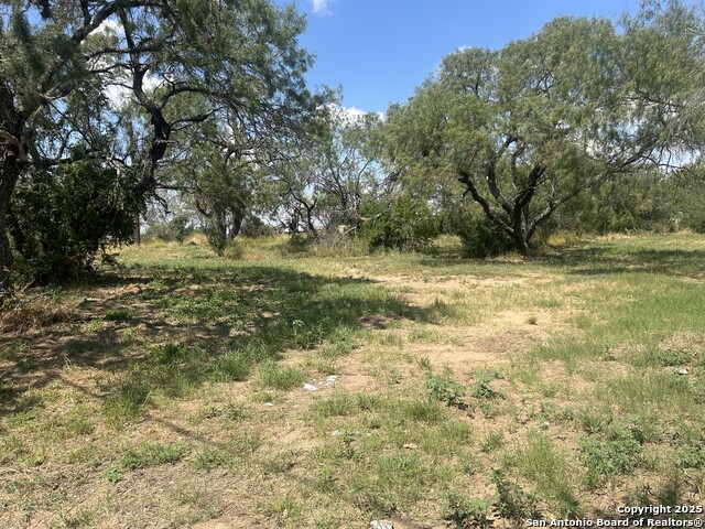 Image 14 of 17 For 12831 Pearsall