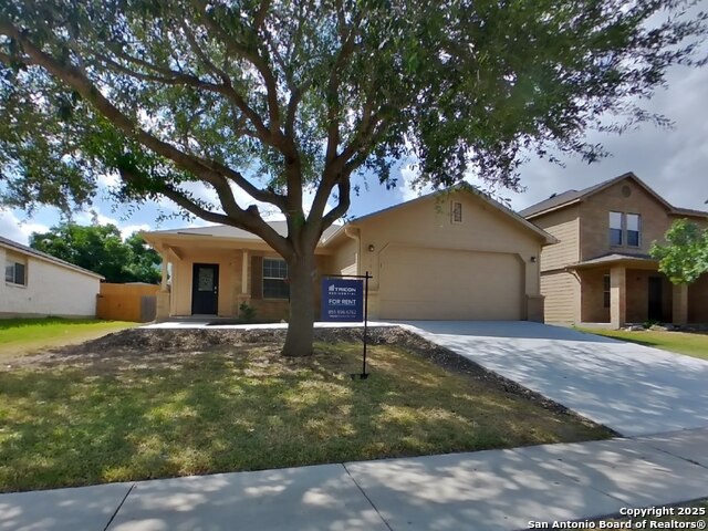 353 Willow  