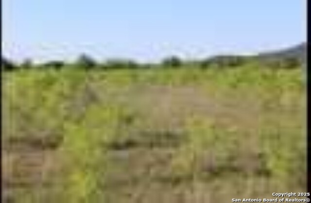 Image 11 of 21 For 245 County Road 356