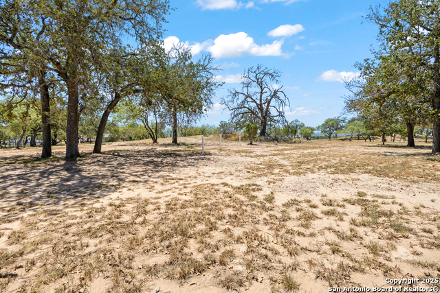 Image 6 of 29 For 22214 Savannah Hts