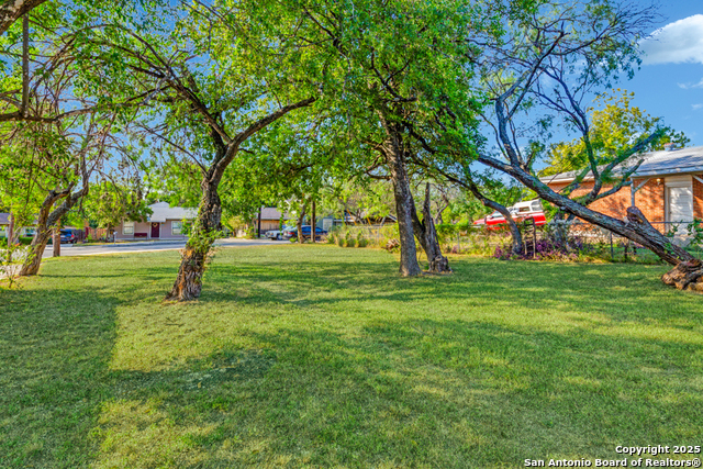 Listing photo id 2 for 249 Bobbies Ln