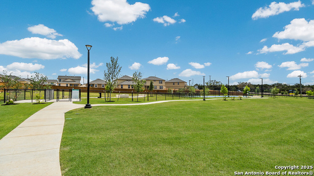 Image 48 of 77 For 5013 Pitch Mark