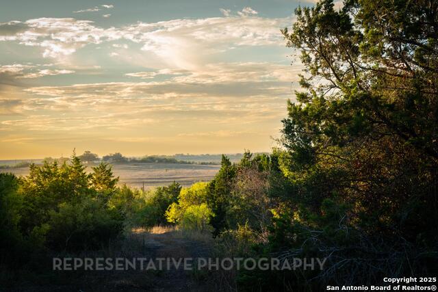 Listing photo id 15 for 406 Cleveland Way