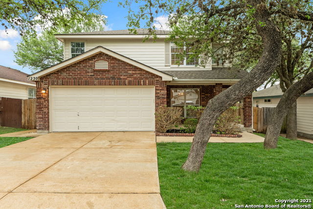 Details for 1230 Lion King, San Antonio, TX 78251