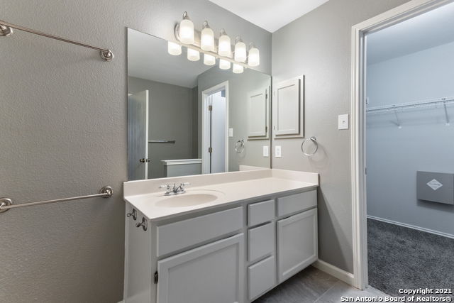 Image 18 of 25 For 1230 Lion King