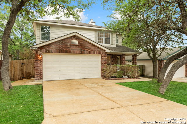 Image 2 of 25 For 1230 Lion King