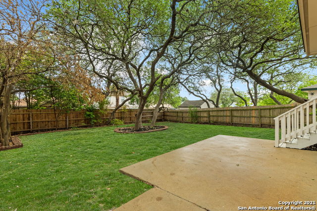 Image 25 of 25 For 1230 Lion King