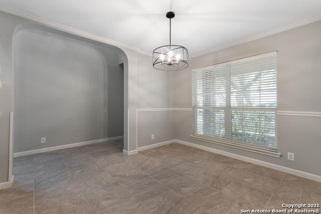 Image 5 of 25 For 1230 Lion King