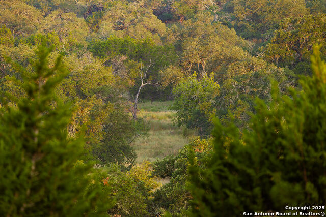 Image 27 of 59 For 3067 Ranch Road 1888