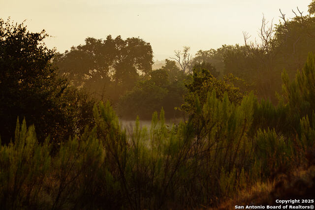 Image 30 of 59 For 3067 Ranch Road 1888