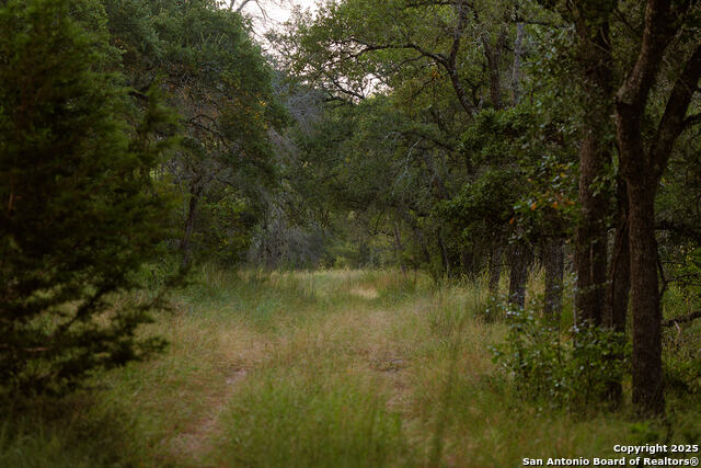 Image 33 of 59 For 3067 Ranch Road 1888