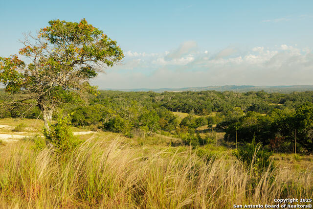 Image 36 of 59 For 3067 Ranch Road 1888